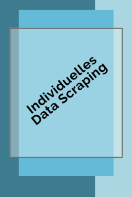 Individuelles Data Scraping 1