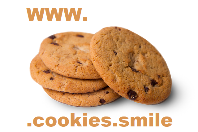 You are currently viewing Cookie-Tracking | Das sollten Sie nach der E-Privacy-Verordnung beachten!